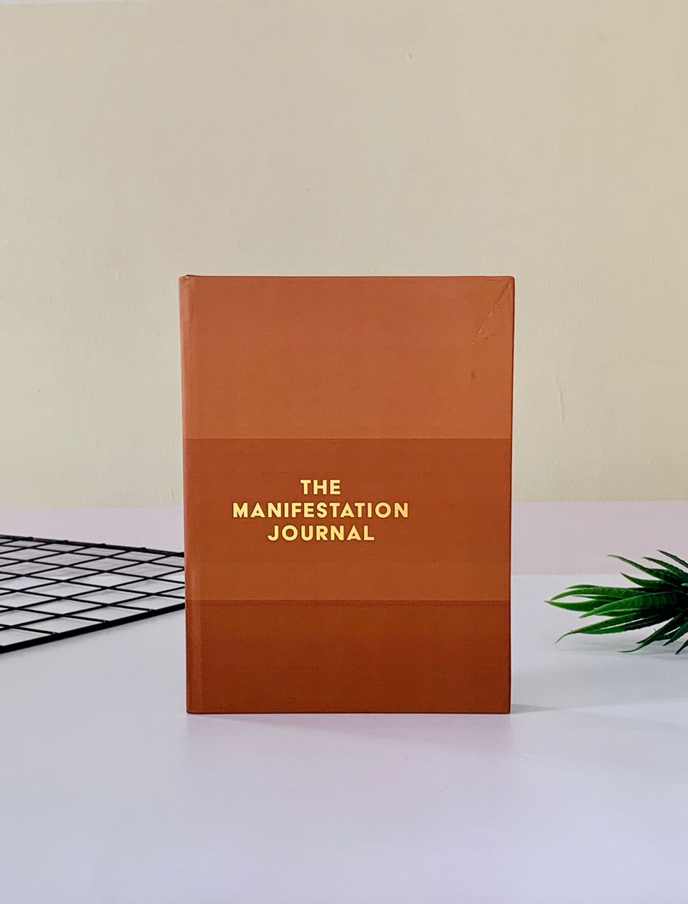 WhatsApp Image 2026-01-22 at 10.15.41 AM (1)